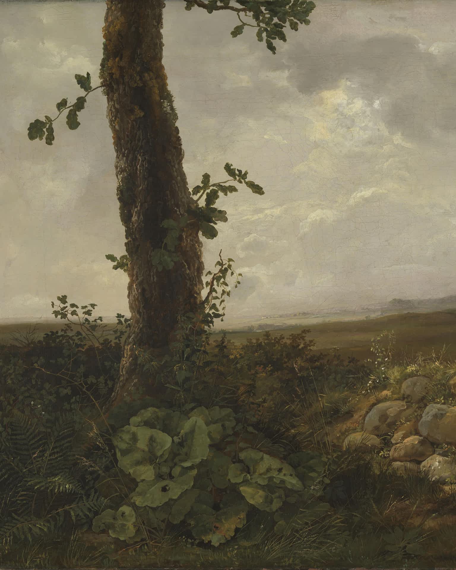 View near Prestø